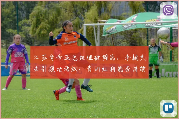 江苏肯帝亚总经理被调离,李楠失去引援话语权,青训红利能否持续?
